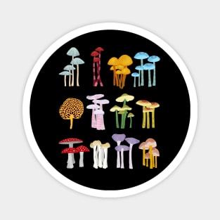 Colorful Mushrooms Magnet